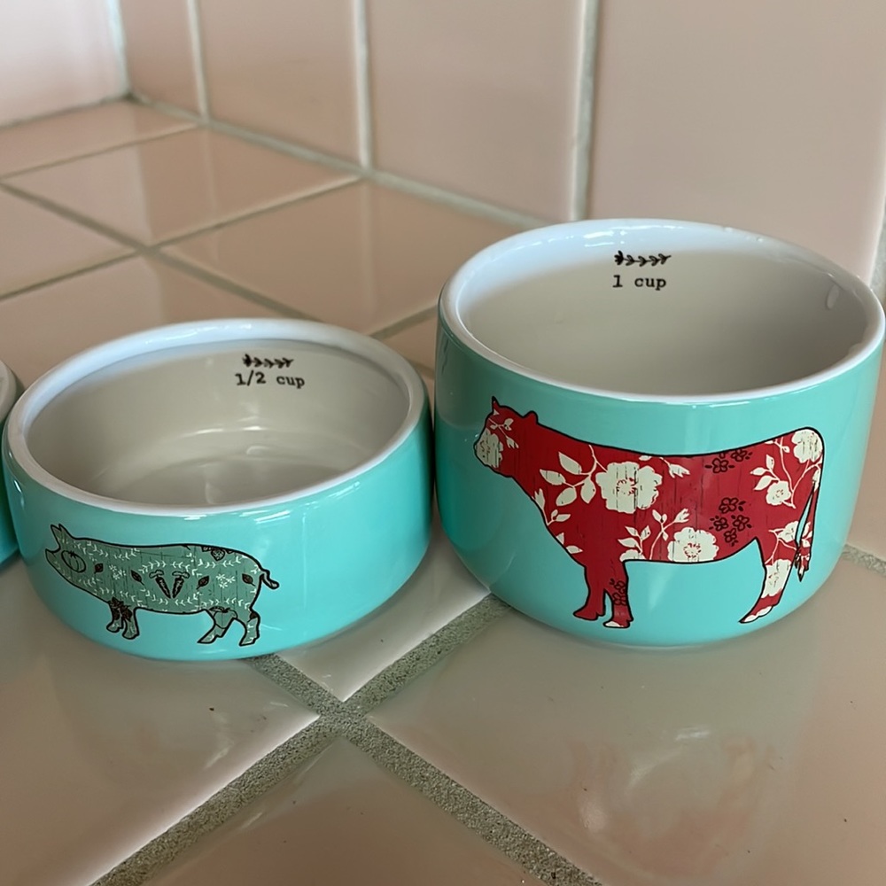 Pioneer woman measuring cup set - Picture 4 of 4